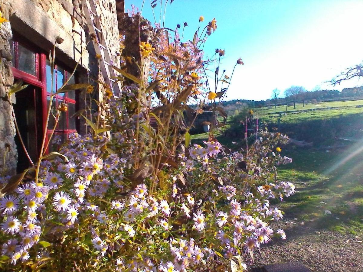 Bed and Breakfast Le Marconnes Saint-Arcons-de-Barges Exterior foto