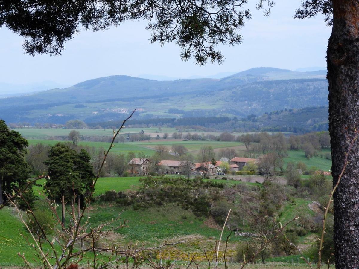 Bed and Breakfast Le Marconnes Saint-Arcons-de-Barges Exterior foto